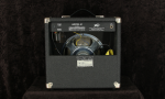 
                            Peavey Audition 30