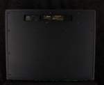
                            Vox VT100X