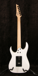 
                            Ibanez RG350DXZ